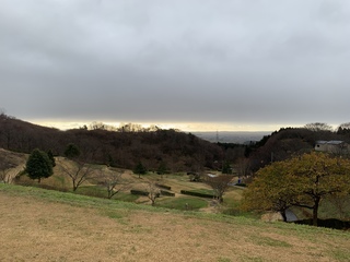 D769937F-691D-46E2-B8B8-7C7122116639.jpeg