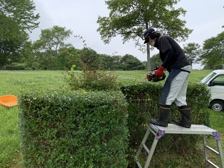 IMG_0106.jpeg