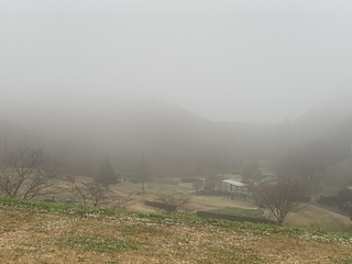 IMG_1666.jpeg