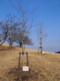 P1010017.JPG