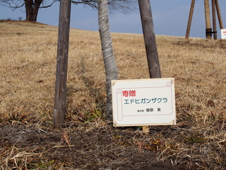 P1010018.JPG