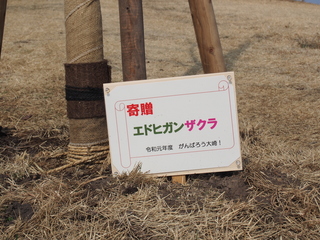 P1010019.JPG