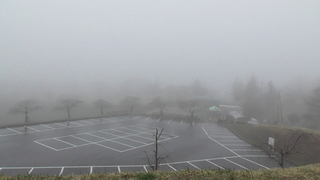 S2670007.JPG