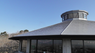S2720003.JPG