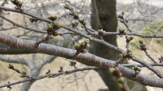 S2740005.JPG